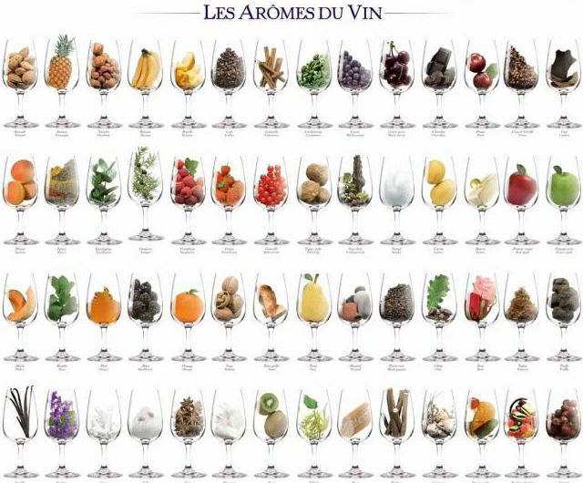 Palette des arômes du vin.