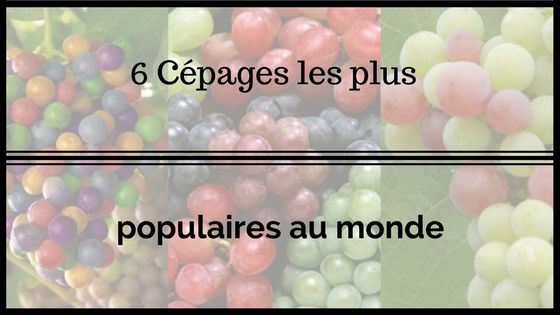 logo article six-cepages-plus-populaires-monde