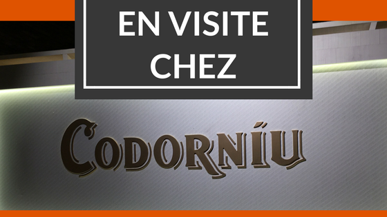 Logo d'article sur la visite de Codorniu