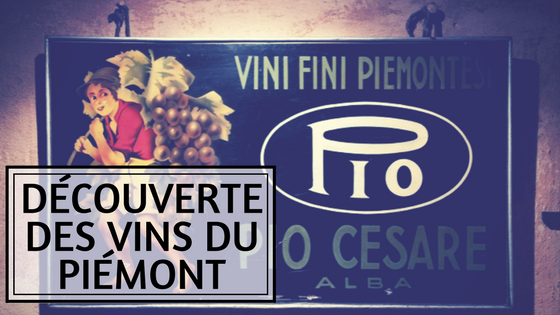 Article sur les vins du Piémont en Italie