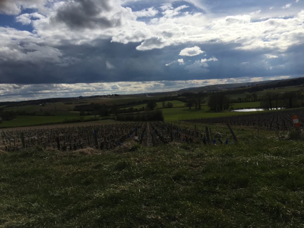 Terroir du coteau du giennois