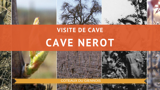 Visite de la cave Nerot dans le coteau du giennois