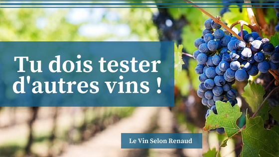 Articles sur les vins non communs