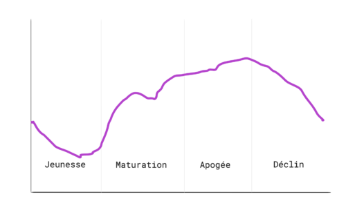 Le cycle de vie du vin