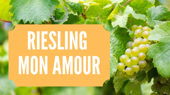 Le riesling un cépage qui a tout pour plaire