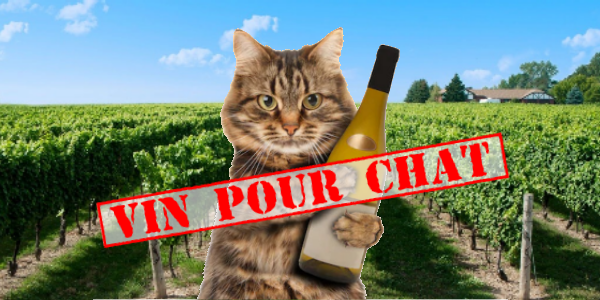 Du vin pour chat