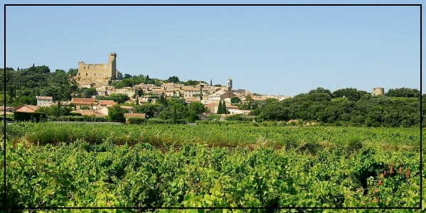 Un château au milieu des vignes