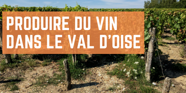 La production de vin dans le Val d'Oise