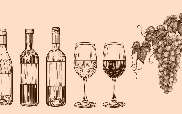 Le vin de la vigne au verre