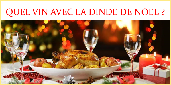 Quel vin choisir avec la dinde de Noël ?