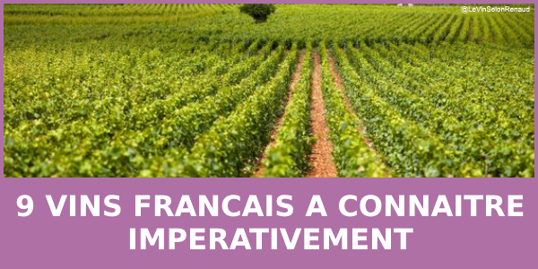 9 grands vins à connaitre absolument