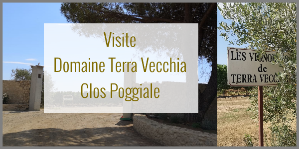 Visite Corse Domaine Terra Vecchia - Clos Poggiale