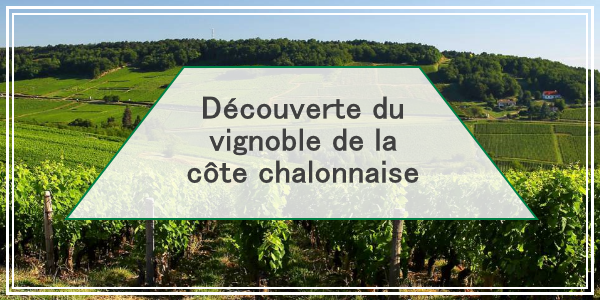 Les vignobles de la côte chalonnaise