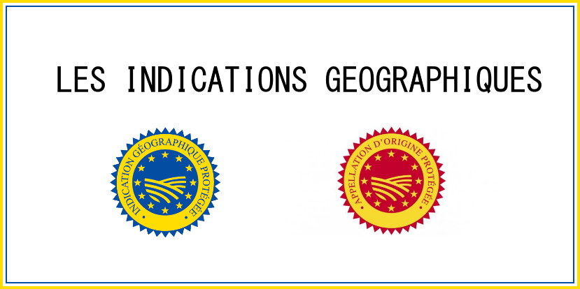 Comment comprendre et lire les indications géographiques dans le vins