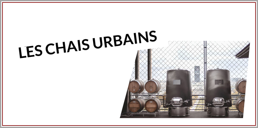 phénomène des chais urbains - Faire du vin en ville