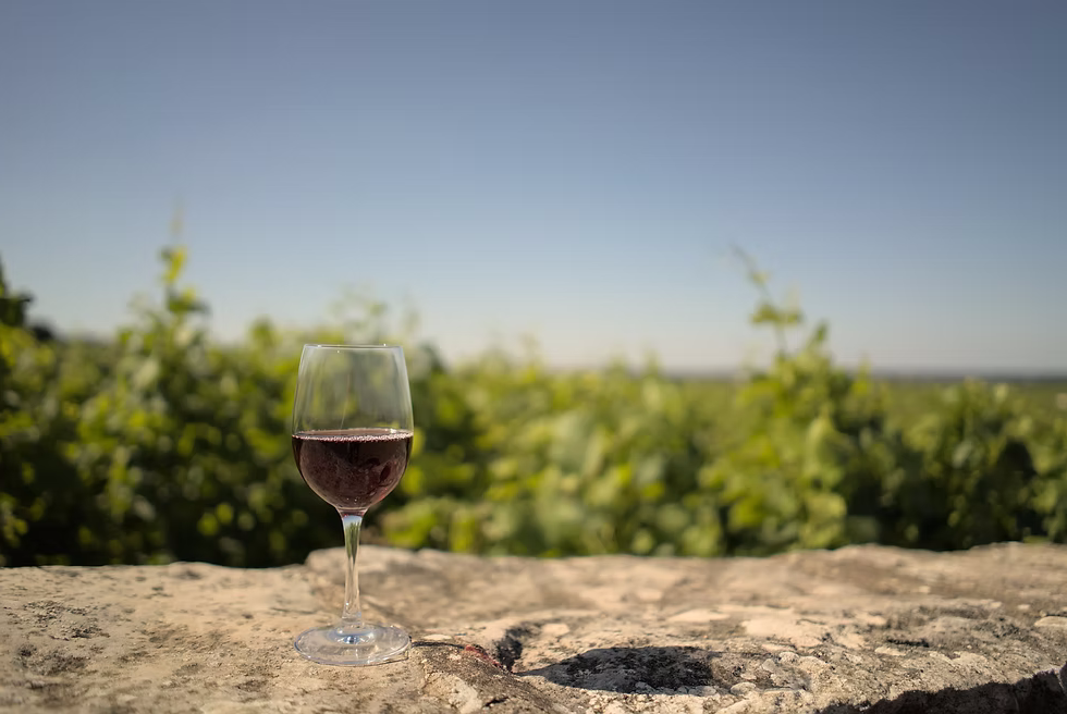verre de pinot noir sur un muret en pierre devant un vignoble